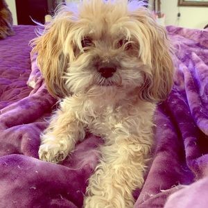 My baby May you RIP. 🙏